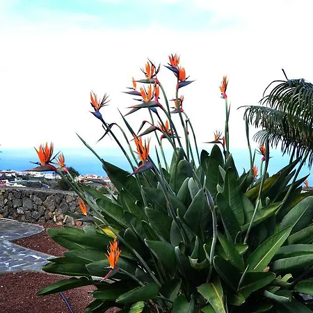 Finca La Sorriba